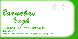 barnabas vegh business card