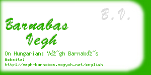 barnabas vegh business card